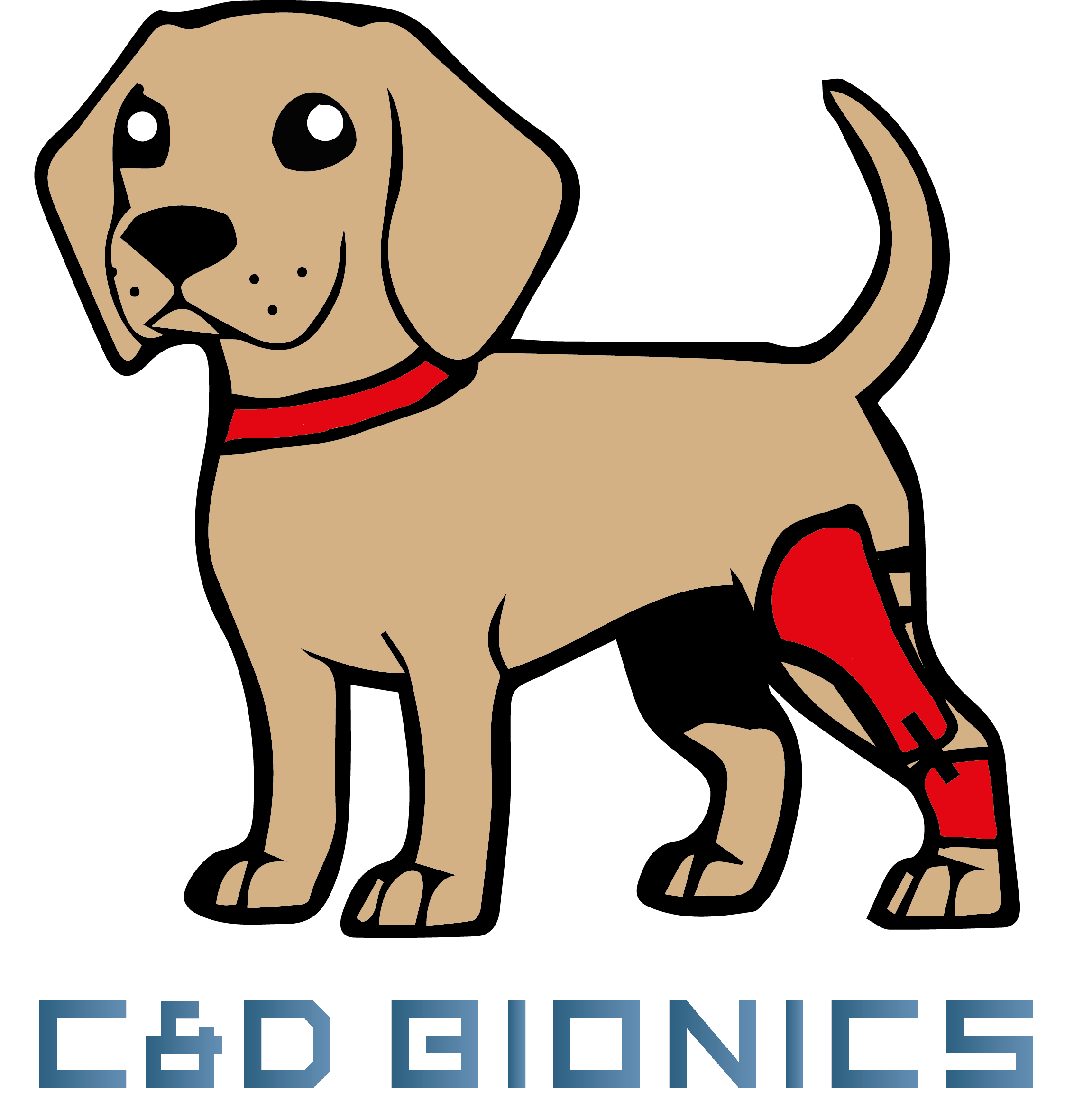 C&D Bionics