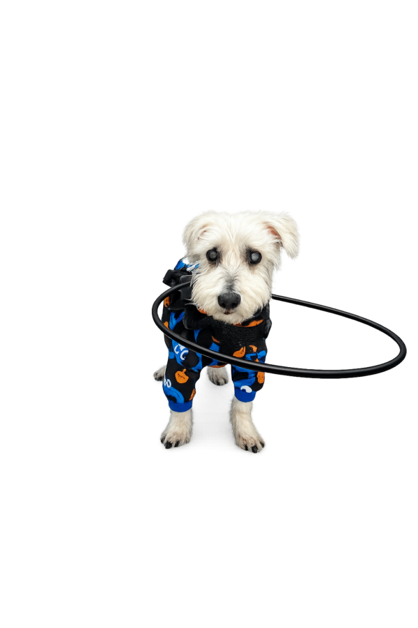 Aro para perro ciego