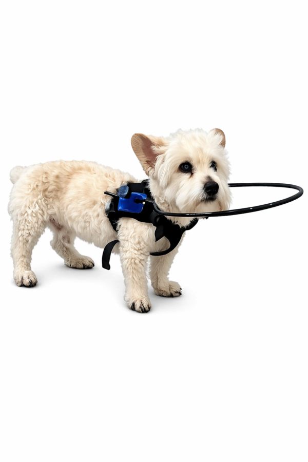 aro para perro ciego
