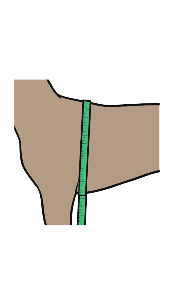 Arnes de perro ciego