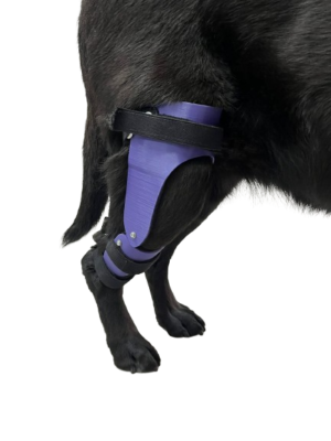 Férula articulada de rodilla