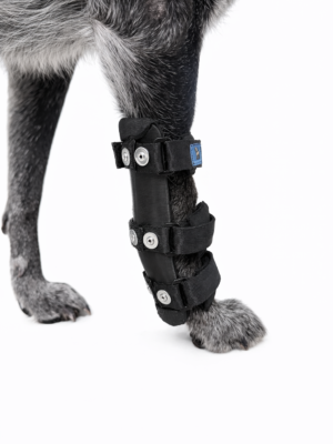 Férula rígida de Carpo