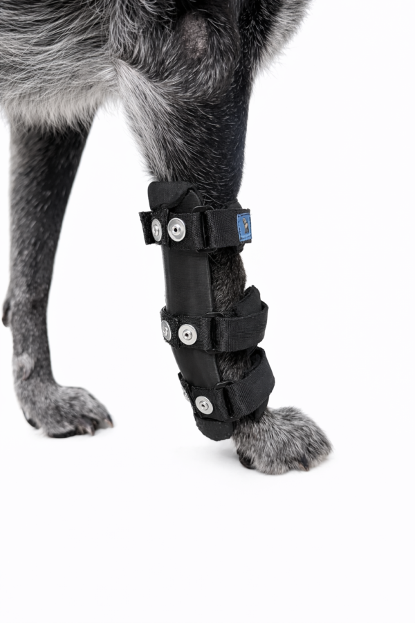 Férula rígida de Carpo para perro - Imagen 1