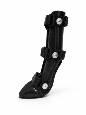 Férula Rígida de miembro anterior