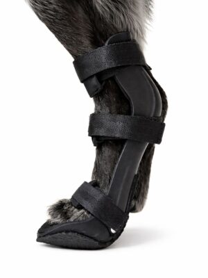 Férula rígida de Miembro posterior