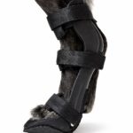 Rigid splint for dogs