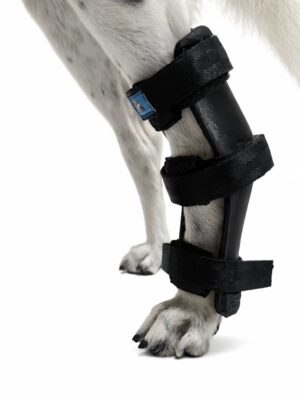 Férula rígida para tarso