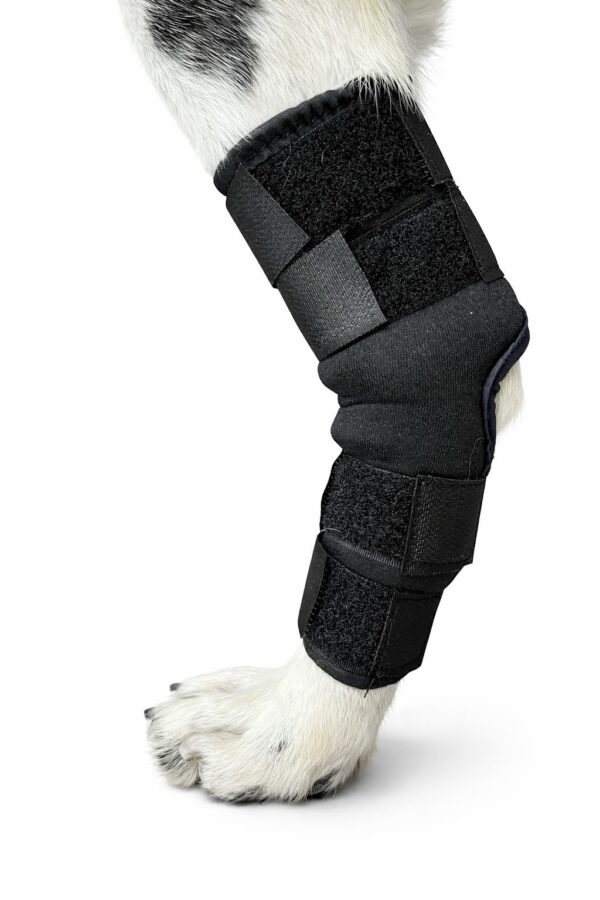 Protector de Tarso para perro - Imagen 1