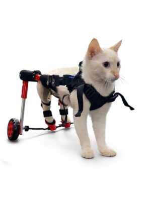 Silla de ruedas con pedales