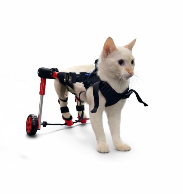 Wheelchair with pedals - Image 1