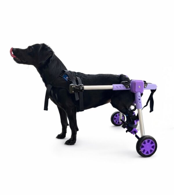 Wheelchair with pedals - Image 3