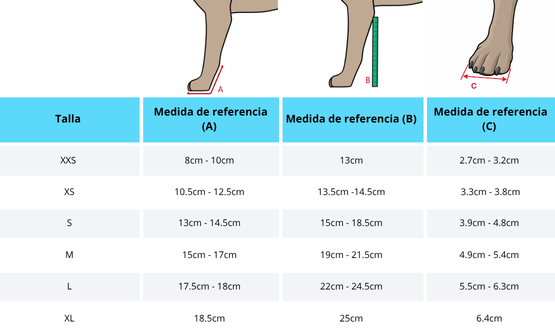 Tabla de tallas Férula rígida de Carpo para perro